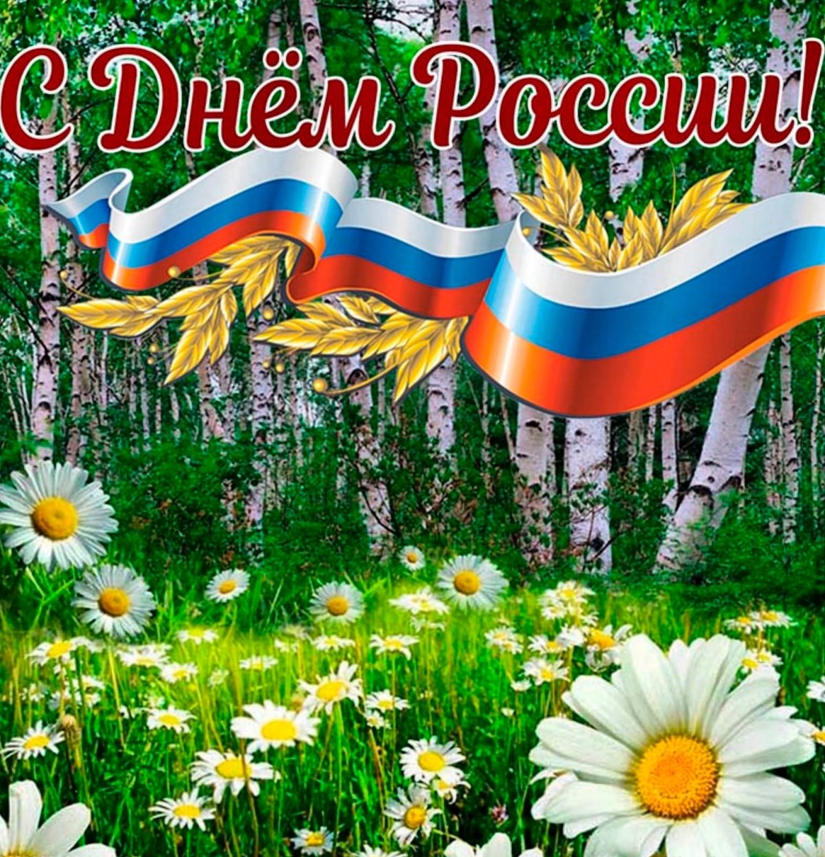 Изображения.